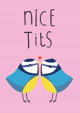 Nice Tits created by Fox and Bird Studio