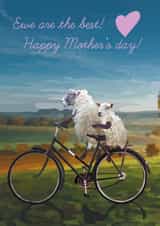 Card 25895 created by Periodic Society