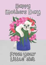 Happy Mother's Day from Your Little Shit created by Sweary Cats by Leaf Lane Studio