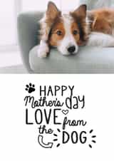 Personalised Mothers Day Photo Card created by Jodie Gaul & Co - Cute Personalised Mother's Day Photo Card - Happy Mother's Day Love From The Dog