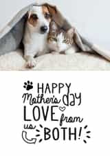 Personalised Mothers Day Photo Card created by Jodie Gaul & Co - pets animals Mothers Day Personalised Photo Card 9717