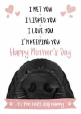 Cute Mothers Day Card - To The Best Dog Mummy - I Met You I Licked You I Love You I'm Keeping You created by The Merry Giraffe