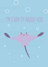 crazy sting Anniversary Card 21821 created by Todd Baker-Flanagan