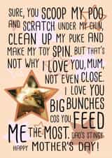 Personalised Mothers Day Photo Card created by Miümi Cat - Funny Cat Poem Personalised Mothers Day Card / Photo Card - From The Cat - I Love You Big Bunches Cos You Feed Me The Most