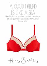 A good friend is like a bra birthday card created by Jemma Louise UK