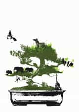 bonzai bonzai tree Card 23697 created by Katie Edwards