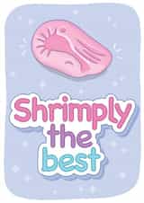 simply the best shrimply the best Thank You Card 15941 created by Squiggle Scribble
