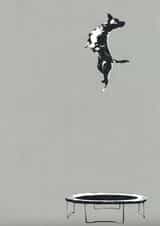 dog trampoline Just because Card 23711 created by Katie Edwards