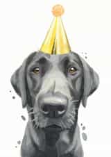 Black Labrador Labrador Retriever Birthday Card 21232 created by Robert James Hull