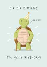 hip hip hooray hooray Birthday Card 21138 created by Cheeky Peeky