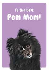 to the Birthday Card 20661 created by Studio Woof