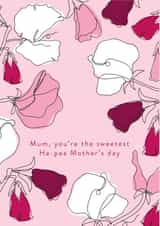 sweet peas flower Mothers Day Card 16801 created by Mor Creative