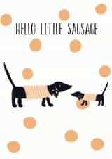 hello little sausage little New Baby Card 21929 created by Cove and May
