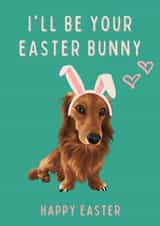 Happy Easter I'll Be Your Easter Bunny Cute Dachshund Card created by Cujo Creations