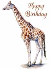 wild animal giraffe Birthday Card 1115 created by Tim Pond