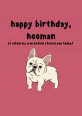 french bulldog bulldog Birthday Card 8715 created by EalainXDesigns