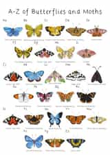 butterfly moth Card 48546 created by KATHRYN CHURN