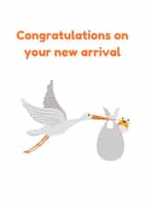 New arrival bird created by Michelle Davison