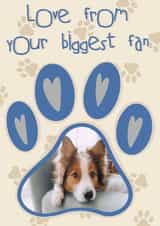 Personalised Birthday Photo Card created by Lisa Wardle - From the dog New dog Birthday Personalised Photo Card 19696