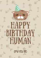Happy Birthday Human from the cat card created by Trickyy