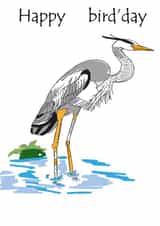 Happy bird'day created by CoolArt2021