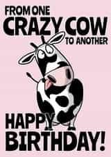 Crazy cow birthday card created by Teeneebash