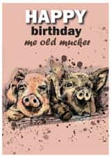 Pigs in mud birthday card created by Art by Jo