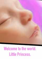 Welcome to the worl little princess created by Julia Griffith