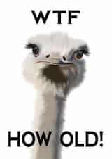 How Old! created by Wonder illustration