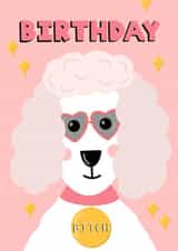 Birthday Bitch Birthday Card created by This Gal Designs