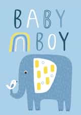 Baby Boy created by Sally Payne Design