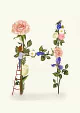 Initial Card letter H created by A-Z Initials by Love Lucy Illustration