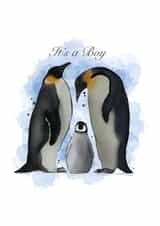 It’s a boy new baby penguin card created by Charlie creates