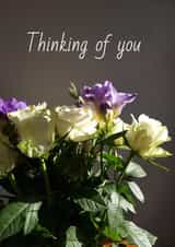 Thinking of Roses 1000 created by Ebz Designs