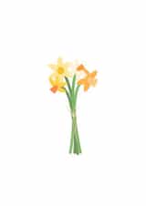 Simple Springtime Daffodils created by Designed by Zena