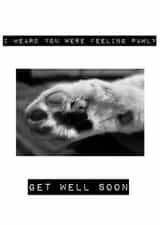 Feeling Pawly created by Ebz Designs