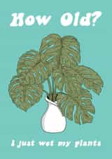 Funny Plant Birthday Card created by Summer Lane Studio