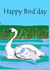 Happy bird' day 1004 created by CoolArt2021