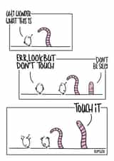 look but dont touch created by bumskin