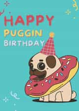 Pug birthday card 1000 created by IcyCard