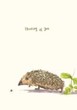 Thinking Of You Hedgehog & Ladybird created by Becca Hall illustration