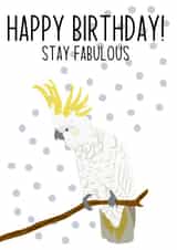 Happy Birthday Stay Fabulous created by Swisa Creates