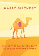 Birthday Camel created by Kat Prentki