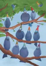 Party Pigeons created by Lucy Reynolds