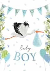 New Baby Boy Stalk Greetings Card created by Hannah Clark Illustrations
