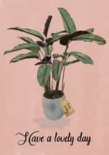 Indoor plant happy birthday card created by mvk_prints