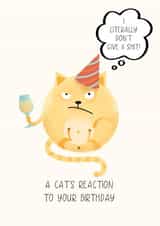 A cat's reaction too your Birthday created by Artsy Gift Co