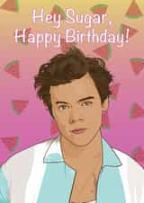 Harry Styles Watermelon Sugar, happy birthday! created by Liam Harris