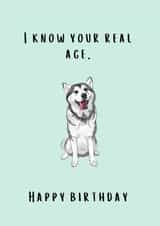 Real Age Dog Birthday Card created by Thankful Cards