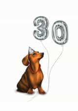 Sausage dog 30th birthday card created by Hot Dog greetings